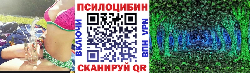 магазин продажи наркотиков  мориарти телеграм  Псилоцибиновые грибы Magic Shrooms  Дивногорск 